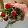 ���b�h���[�Y�u�[�P